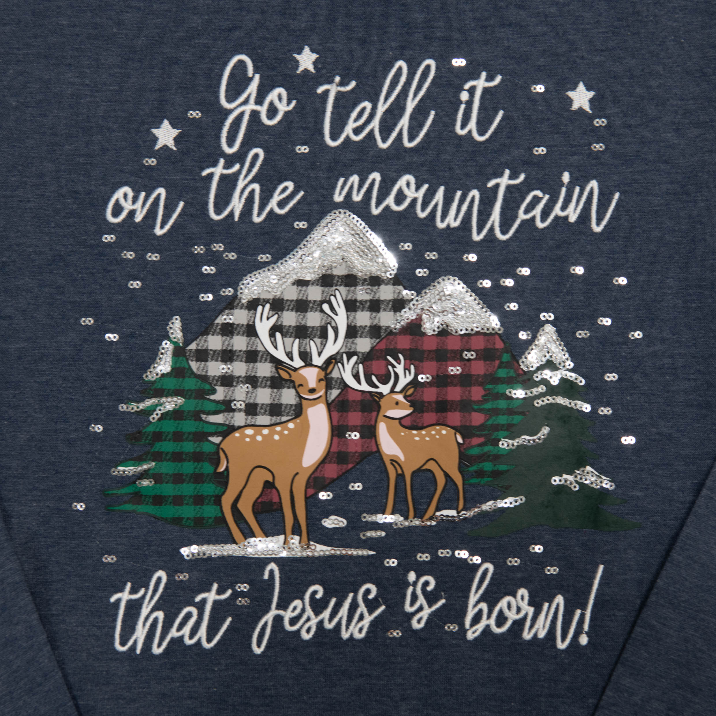 Go Tell Embellished Sweatshirt - Image 3